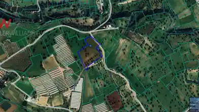 Agriculture Plot for sale, Larnaca, Mazotos
