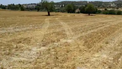 Residential Plot for sale, Larnaca, Alethriko