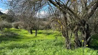 Działka rolna na sprzedaż, Dystrykt Limassol, Paramita