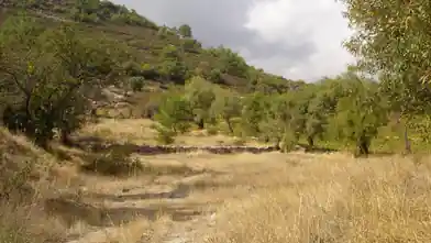 Residential Plot for sale, Limassol, Pera Pedi