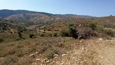 Agriculture Plot for sale, Paphos, Kelokedara