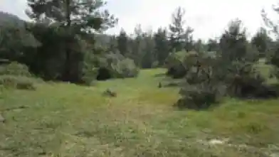Działka rolna na sprzedaż, Dystrykt Nikozja, Mitsero