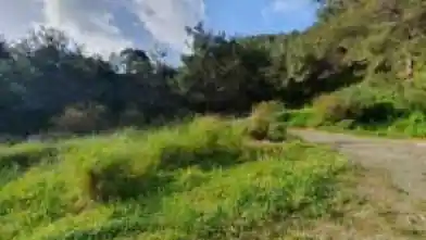 Agriculture Plot for sale, Paphos, Pomos