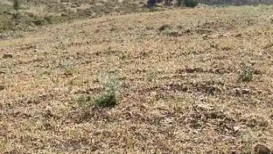 Działka rolna na sprzedaż, Dystrykt Pafos, Kielokiedara