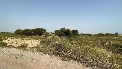 Agriculture Plot for sale, Famagusta, Sotira