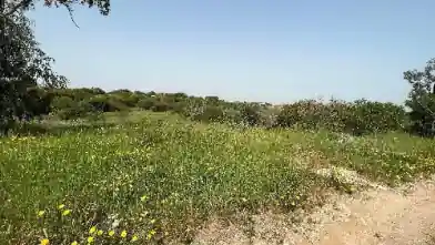 Agriculture Plot for sale, Famagusta, Paralimni