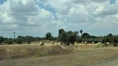 Agriculture Plot for sale, Nicosia, Mathiatis