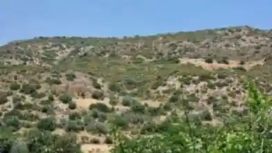 Agriculture Plot for sale, Larnaca, Agios Theodoros