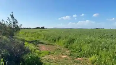 Agriculture Plot for sale, Larnaca