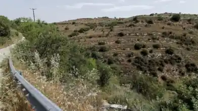 Agriculture Plot for sale, Paphos, Tsada