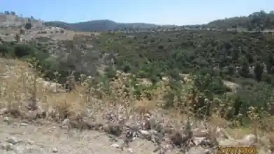 Działka rolna na sprzedaż, Dystrykt Pafos, Musere
