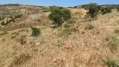 Działka rolna na sprzedaż, Dystrykt Pafos, Kielokiedara