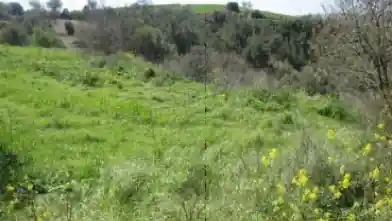 Działka rolna na sprzedaż, Dystrykt Pafos, Dryma