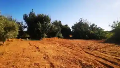 Agriculture Plot for sale, Famagusta, Paralimni