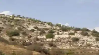 Agriculture Plot for sale, Paphos, Amargeti
