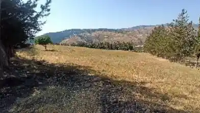 Działka rolna na sprzedaż, Dystrykt Pafos, Kielokiedara