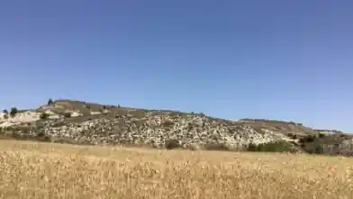 Agriculture Plot for sale, Nicosia, Analiontas