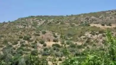 Agriculture Plot for sale, Larnaca, Agios Theodoros