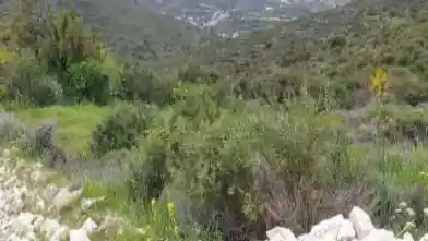 Agriculture Plot for sale, Larnaca, Kalavasos