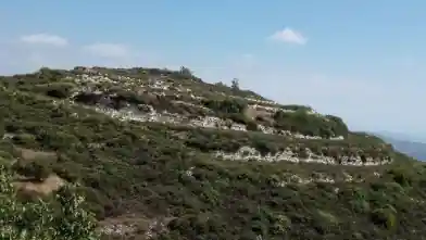 Agriculture Plot for sale, Limassol, Agios Therapon