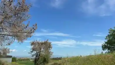 Agriculture Plot for sale, Nicosia, Ayios Theodoros Soleas