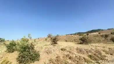 Agriculture Plot for sale, Paphos, Kelokedara