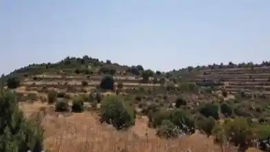 Agriculture Plot for sale, Limassol, Pachna