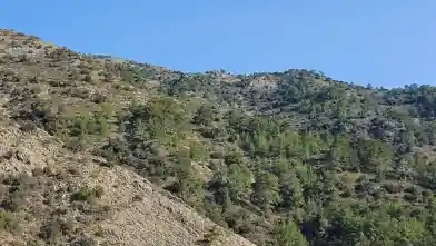 Agriculture Plot for sale, Nicosia, Farmakas