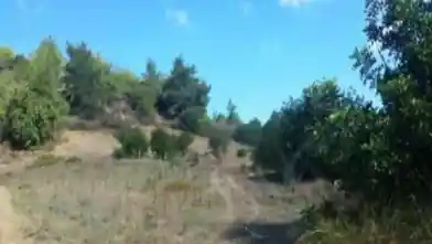 Agriculture Plot for sale, Paphos, Peristerona