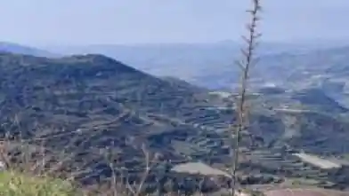 Działka rolna na sprzedaż, Dystrykt Limassol, Dora
