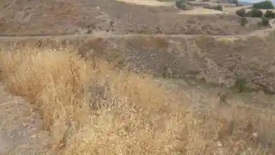 Agriculture Plot for sale, Paphos, Amargeti