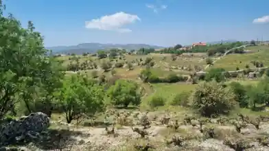 Agriculture Plot for sale, Limassol, Vasa Koilaniou