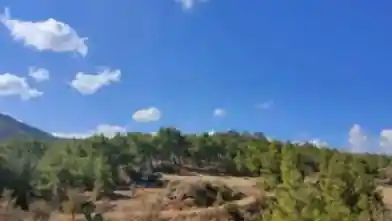 Agriculture Plot for sale, Nicosia, Nikitari