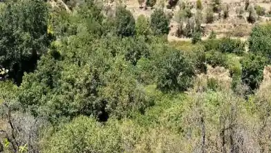 Agriculture Plot for sale, Nicosia, Galata