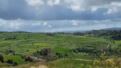Agriculture Plot for sale, Paphos, Thrinia
