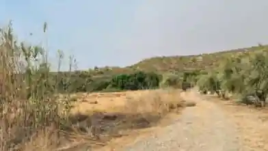 Agriculture Plot for sale, Larnaca, Agios Theodoros
