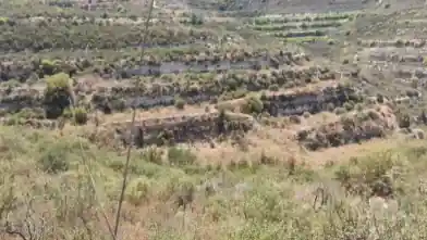 Agriculture Plot for sale, Limassol, Pachna