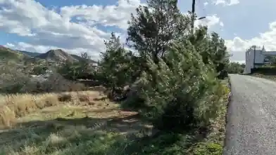 Działka rolna na sprzedaż, Dystrykt Pafos, Argaka