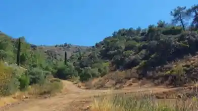 Agriculture Plot for sale, Limassol, Kalo Chorio