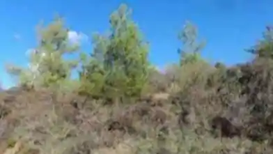 Agriculture Plot for sale, Nicosia, Pigenia