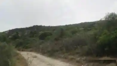 Agriculture Plot for sale, Paphos, Koili