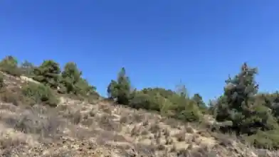 Agriculture Plot for sale, Nicosia, Phicardou