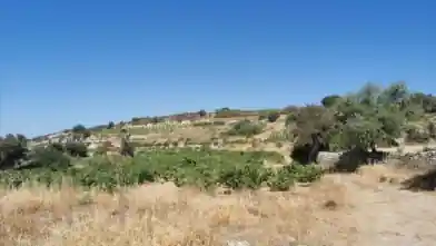 Działka rolna na sprzedaż, Dystrykt Limassol, Pachna