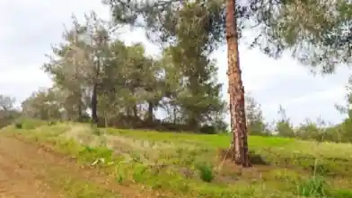 Agriculture Plot for sale, Nicosia