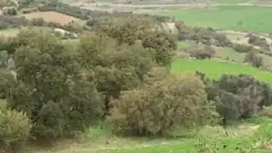 Działka rolna na sprzedaż, Dystrykt Pafos, Simu