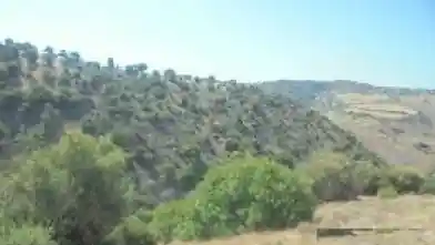 Agriculture Plot for sale, Paphos, Kelokedara