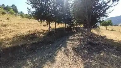 Agriculture Plot for sale, Paphos, Kelokedara