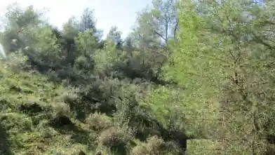 Działka rolna na sprzedaż, Larnaka, Psewdas