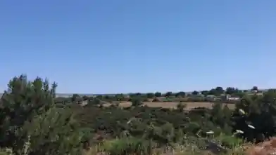 Agriculture Plot for sale, Paphos, Pegeia