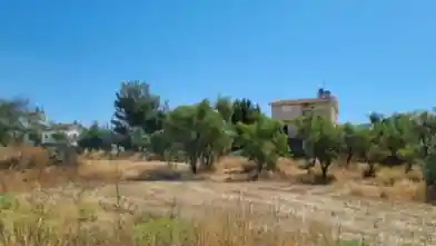 Agriculture Plot for sale, Nicosia